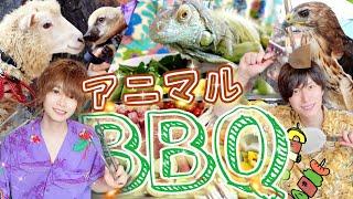 どうぶつ達と仲良くBBQ!？アカハナグマがイグアナのサラダを奪い逃走