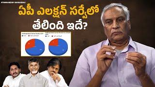 Tammareddy About Latest Survey On AP Politics | YSRCP | TDP | JSP | AP Next CM 2024