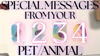 YOUR PET/ANIMAL HAS SOMETHING TO TELL YOU *ANIMAL COMMUNICATION* (Pick A Card) Tarot Reading