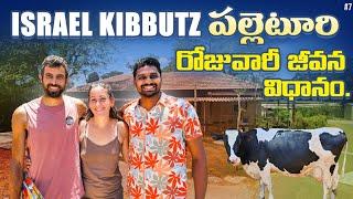 kibbutz Village Daily Life in Israel  | Uma Telugu Traveller