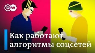 Как работают алгоритмы соцсетей - лайфхаки DW