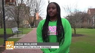 NPHC Events Come to UT Campus