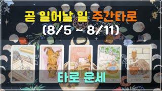 타로 운세 - 곧 일어날 일 | 주간 타로 (8/5 ~8/11)