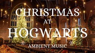 Harry Potter Ambient Christmas Music | Hogwarts | Relaxing, Studying, Sleeping