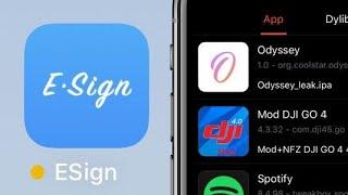 How To Use E-Sign (How To Import A Certificate | How To Install iPAs)