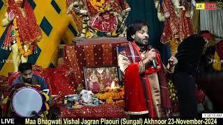 Live Maa Bhagwati Vishal Jagran Plaouri (Sungal) Akhnoor 23-November-2024