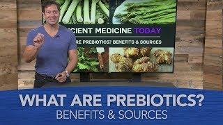 What Are Prebiotics - Benefits and Sources