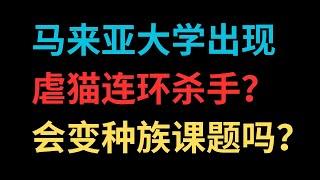 马来亚大学出现虐猫连环杀手？会变种族课题吗？