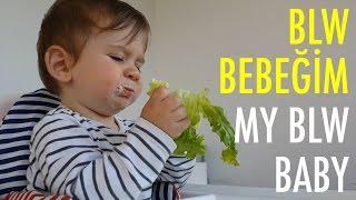 BLW Bebeğim | My BLW Baby (Baby Led Weaning) | Acemi Anne