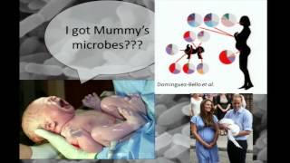 Microbiome Colonization and Assembly - Ruth Ley