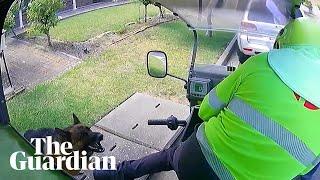 Australia Post releases video of dogs attacking posties