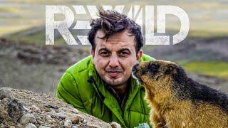 Rewild with ABD