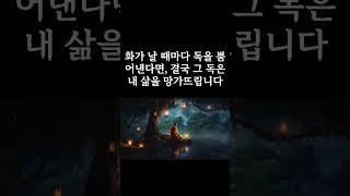 현명한사람이 화났을때 감정을 다스리는 방법세가지|오디오북|철학과지혜|지혜의 등불 #명언 #자기수행 #고전