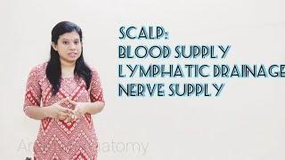 Human Anatomy Topic: Scalp - Blood Supply, Lymphatic Drainage, Nerve Supply.