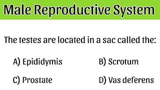 Male Reproductive System MCQ | | human Reproductive system mcq for competitive exam