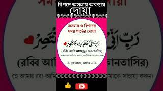 #islamicvideo #shortvideo #signalislamic #islamic #waz #reels #reel #tiktok #trending 