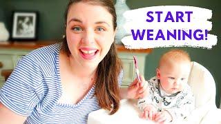 BABY LED WEANING: A step by step guide to starting solid food with your 6 month old baby.