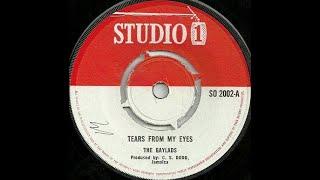 The Gaylads - Tears From My Eyes