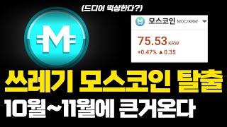 모스코인 물린분들은 꼭 시청하세요! 모스코인 탈출 10월 가능! 세력 매집세 포착