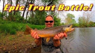 Fly Fishing A Creek LOADED With GIANT TROUT | Multiple Big Fish Landed!