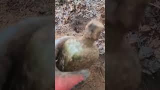 ww1 german dump excavation from rigasfrontline easternfront #germanmilitary #digging #digginglife