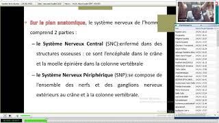 Cours Physiologie Hiérarchisation du Système Nerveux 1ère Année Médecine et Pharmacie UKAG-2020-07-0