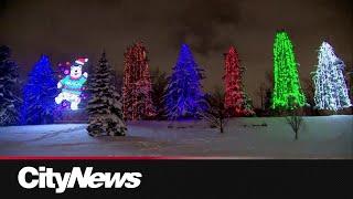 Calgary's Lions Festival of Lights officially opens