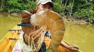 Panas poll strike poll  mancing udang galah