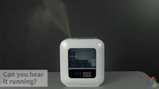 Air-O-Swiss U700 Warm & Cool Mist Humidifier | Sylvane