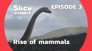 New Prehistory : Dawn of mammals | SLICE EXPERTS