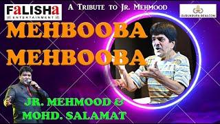 MEHBOOBA MEHBOOBA JR. MEHMOOD & MOHD. SALAMAT