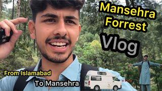 Mansehra Forest Vlog and hiking // Mansehra Is So Beautiful Place 