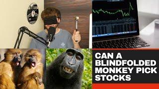 How to Pick Stocks? With a blindfolded monkey (part 1)