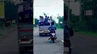 Public reaction kabutar ️ #pigeon #kabutar #youtubeshort