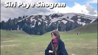 Siri Paye Shogran || Northern Areas of Pakistan  || Beautiful place || Vlog 44