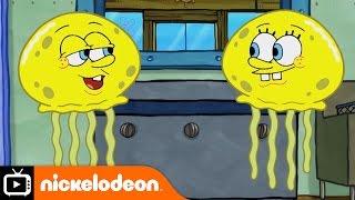 SpongeBob SquarePants | Two Sponges | Nickelodeon UK