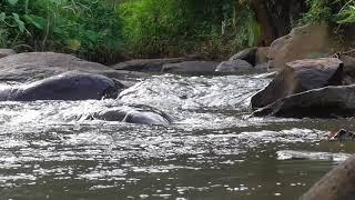 Water Relaxation river flow