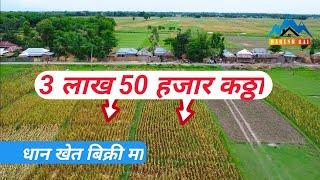 East Nepal real estate# 3लाख 50 हजार कठ्ठा खेत बिक्री मा, दुहबी ,सुनसरी नेपाल