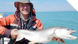 Flat-Line Trolling for Lake Trout (with trolling tips)