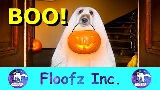 Happy Halloween From Floofz Inc.!