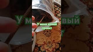 У меня новый проект! Отгадали?