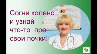 Пройдите тест и узнайте, хорошо ли работают ваши почки!