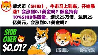 柴犬币（SHIB），牛市马上到来，开始暴涨？会涨到0.1美金吗？鲸鱼持有10%SHIB供应量，增长25万倍，达到25亿美元，最初投资仅1万美元，会涨到0.1美金吗？#shib币#柴犬币#屎币行情分析！