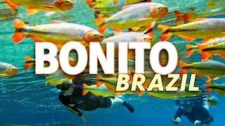 Top Ecotourism Destination: Bonito, Mato Grosso Do Sul State, Brazil