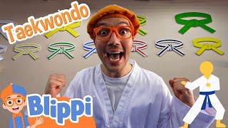 Blippi Learns Taekwondo for the First Time! | Blippi Educational Videos for Kids