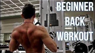 Beginner Back Workout