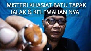 MISTERI KHASIAT BATU TAPAK JALAK & KELEMAHAN NYA