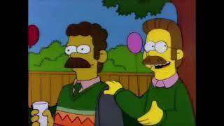 The Simpsons - Flanders Family Reunion