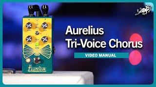 Aurelius Tri-Voice Chorus Video Manual | EarthQuaker Devices