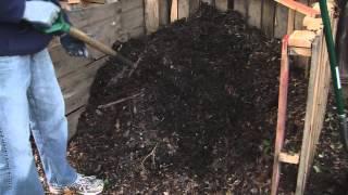 Go Green: Compost